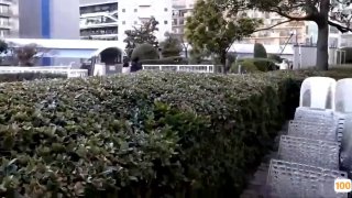 超级公子性欲极强的少妇好骑术